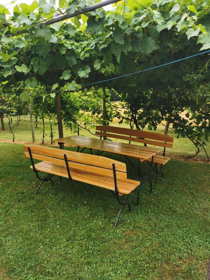 Urlaub für die Seele - Erholung Pur in der Natur - Ferienhaus mit Infrarotkabine&RELAX-Raum Rucmanci Exterior foto